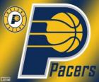 Indiana Pacers NBA takımının Logo. Merkez Grubu, Doğu Konferansı